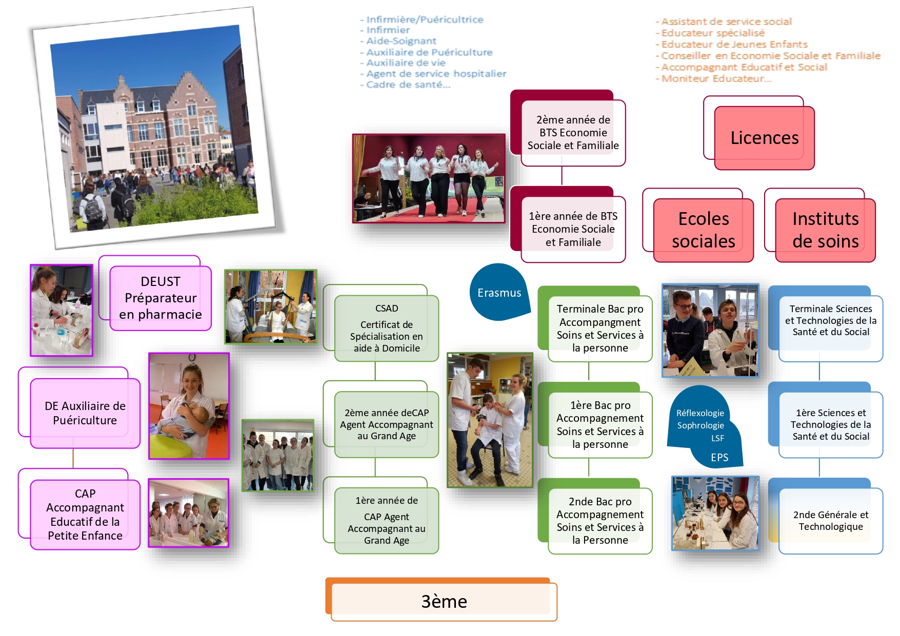 Organigramme des formations_page-0001